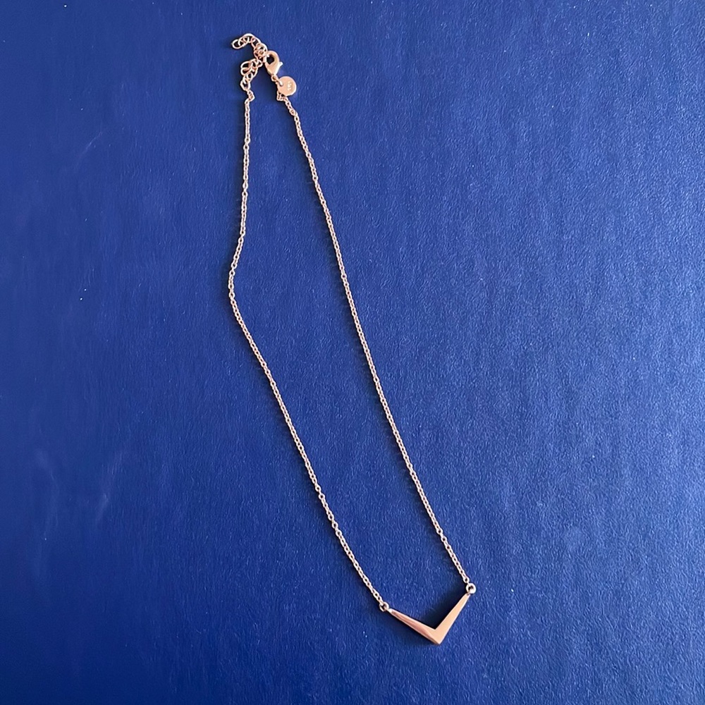 Rose Gold Necklace